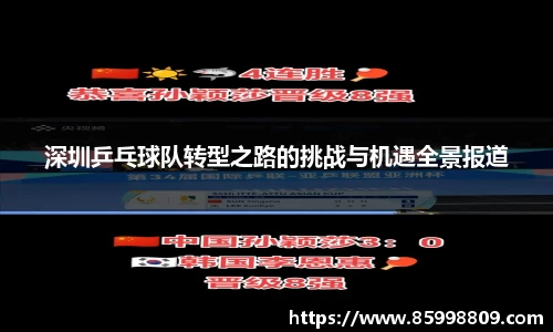 深圳乒乓球队转型之路的挑战与机遇全景报道